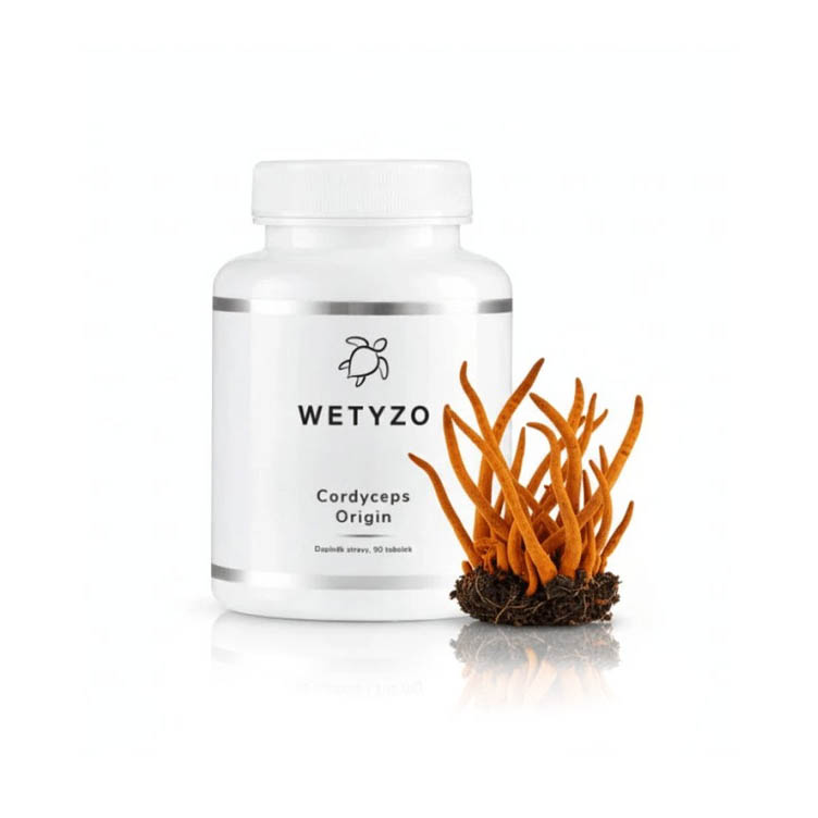 Cordyceps Origin
